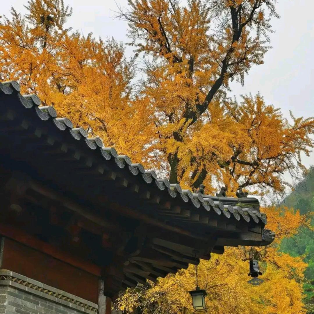 人生已完成一次渡劫