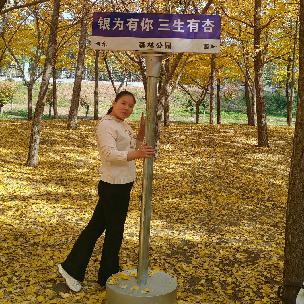 🌱胖子烧烤海鲜