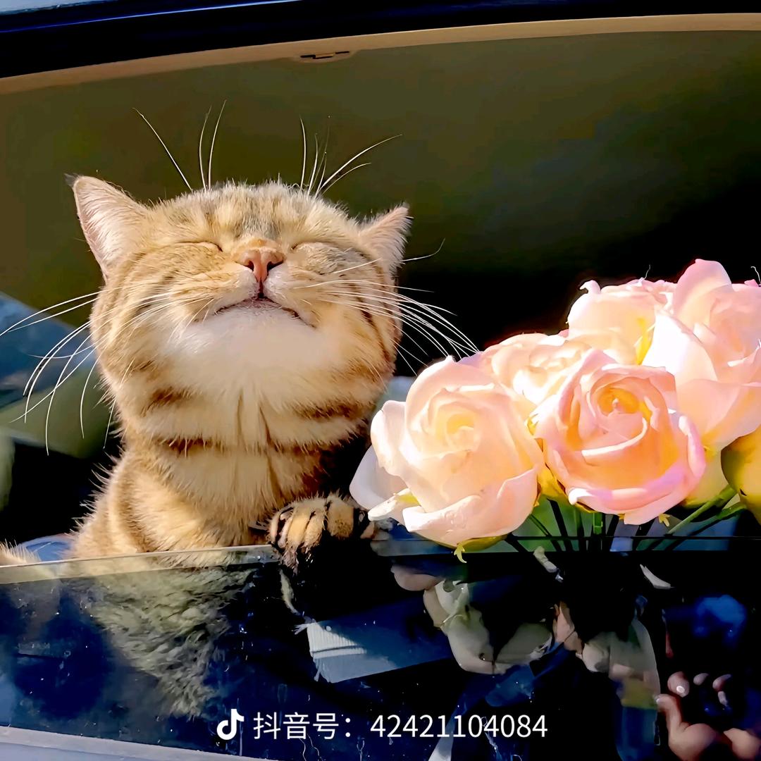 美好未来