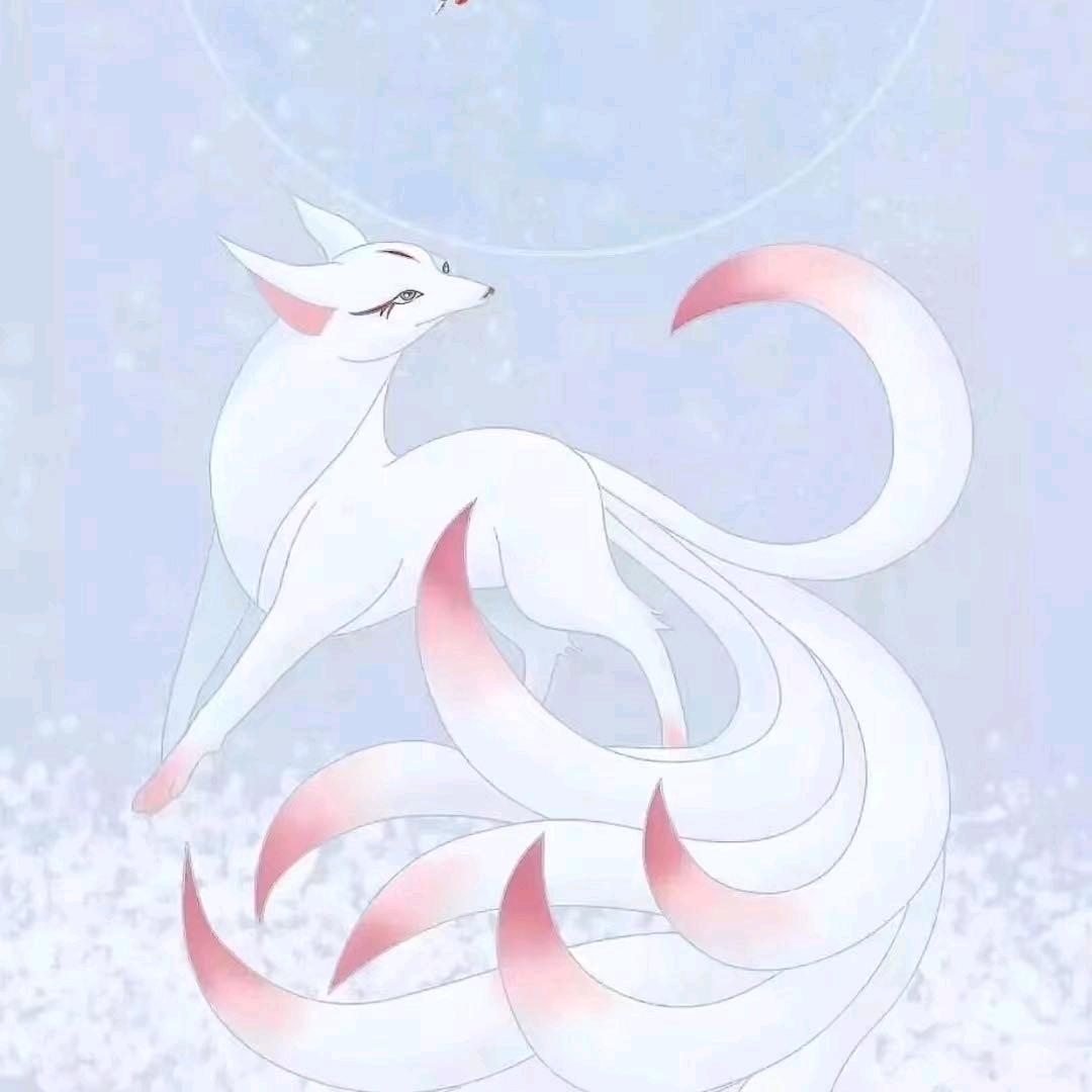 如如不动