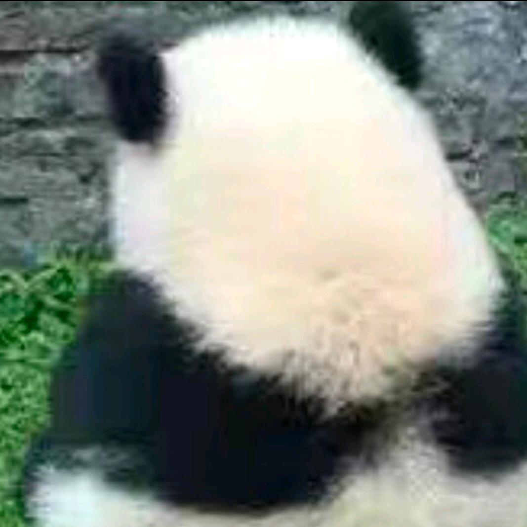 入了心的人