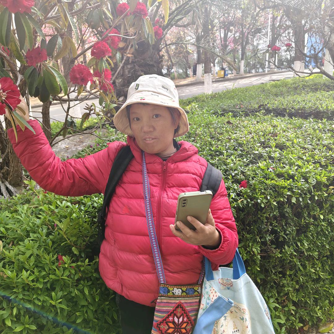 大理古城杨力