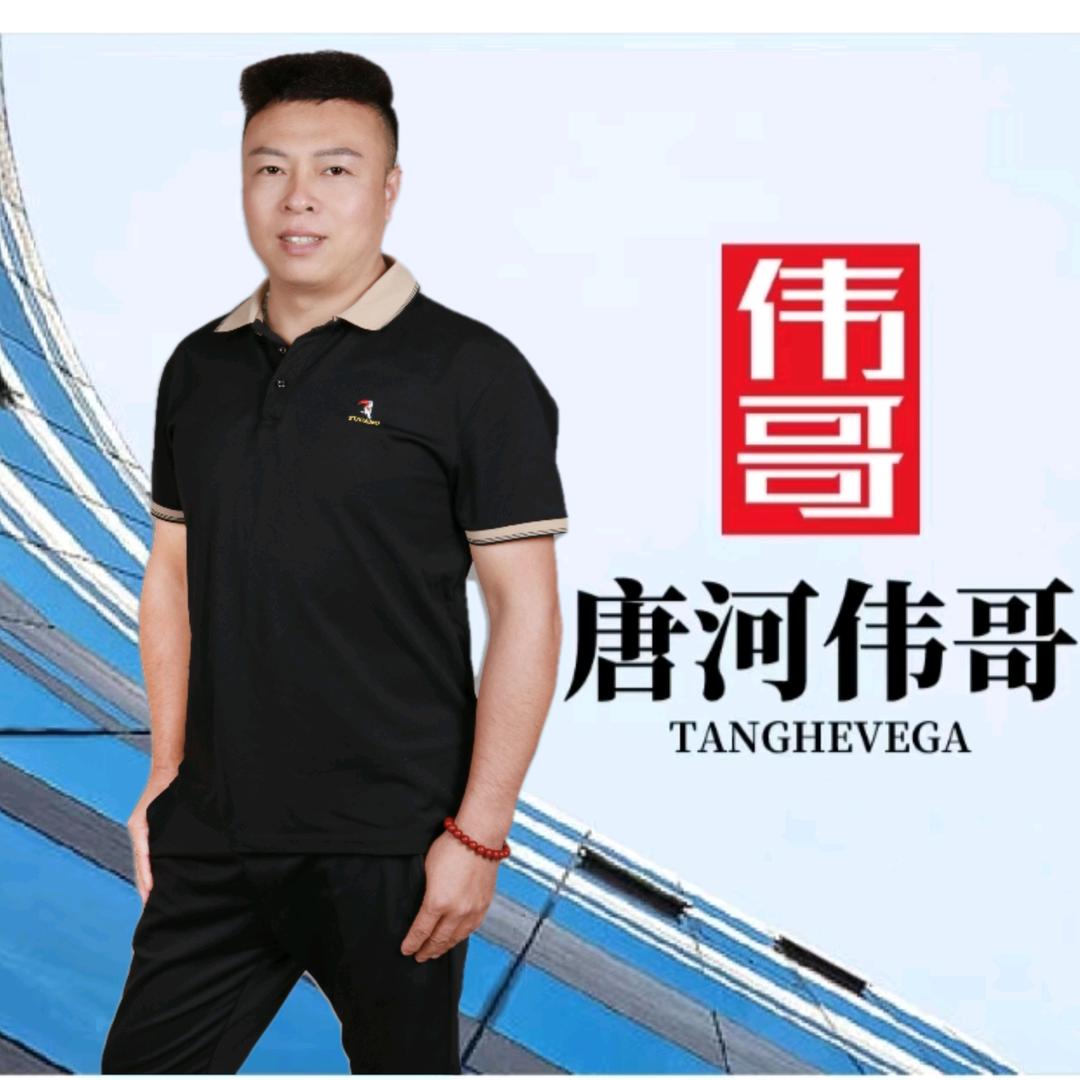 唐河房产伟哥卖房