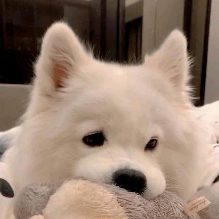 ℒꪮꪜ꧖归零꧔ꦿ᭄