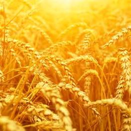 春💋夏🍷🍷秋冬