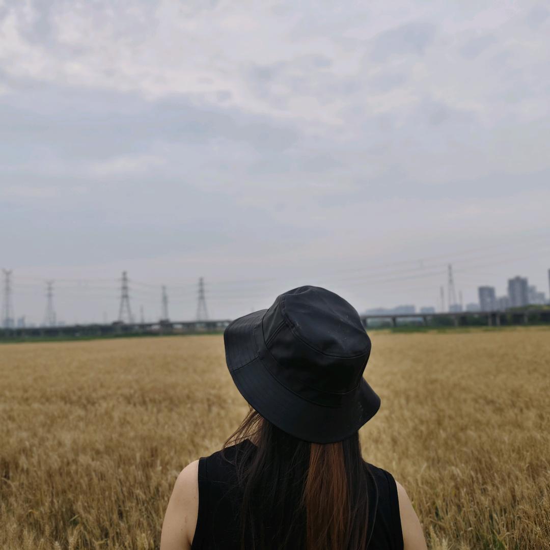方芳的日常