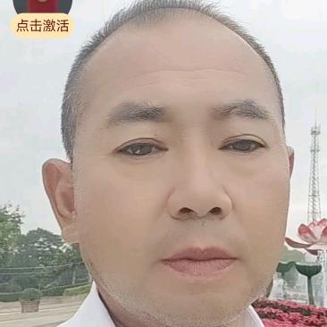 木头哥