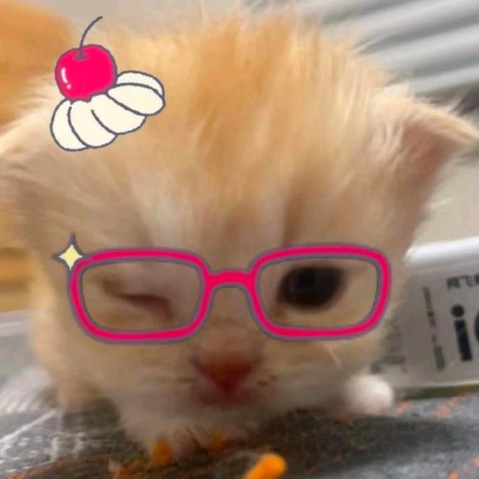 Xixixi