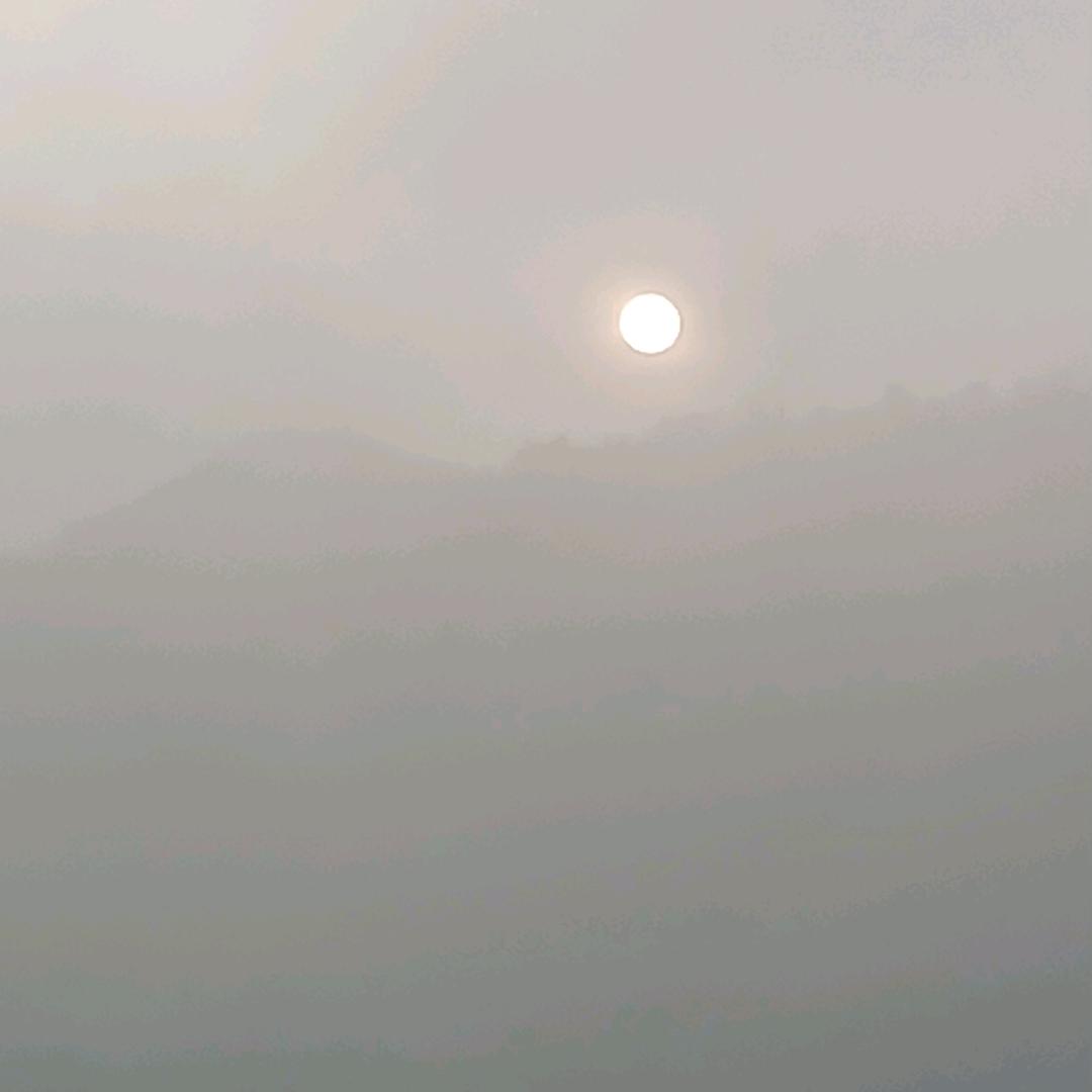 愿得一人訫。