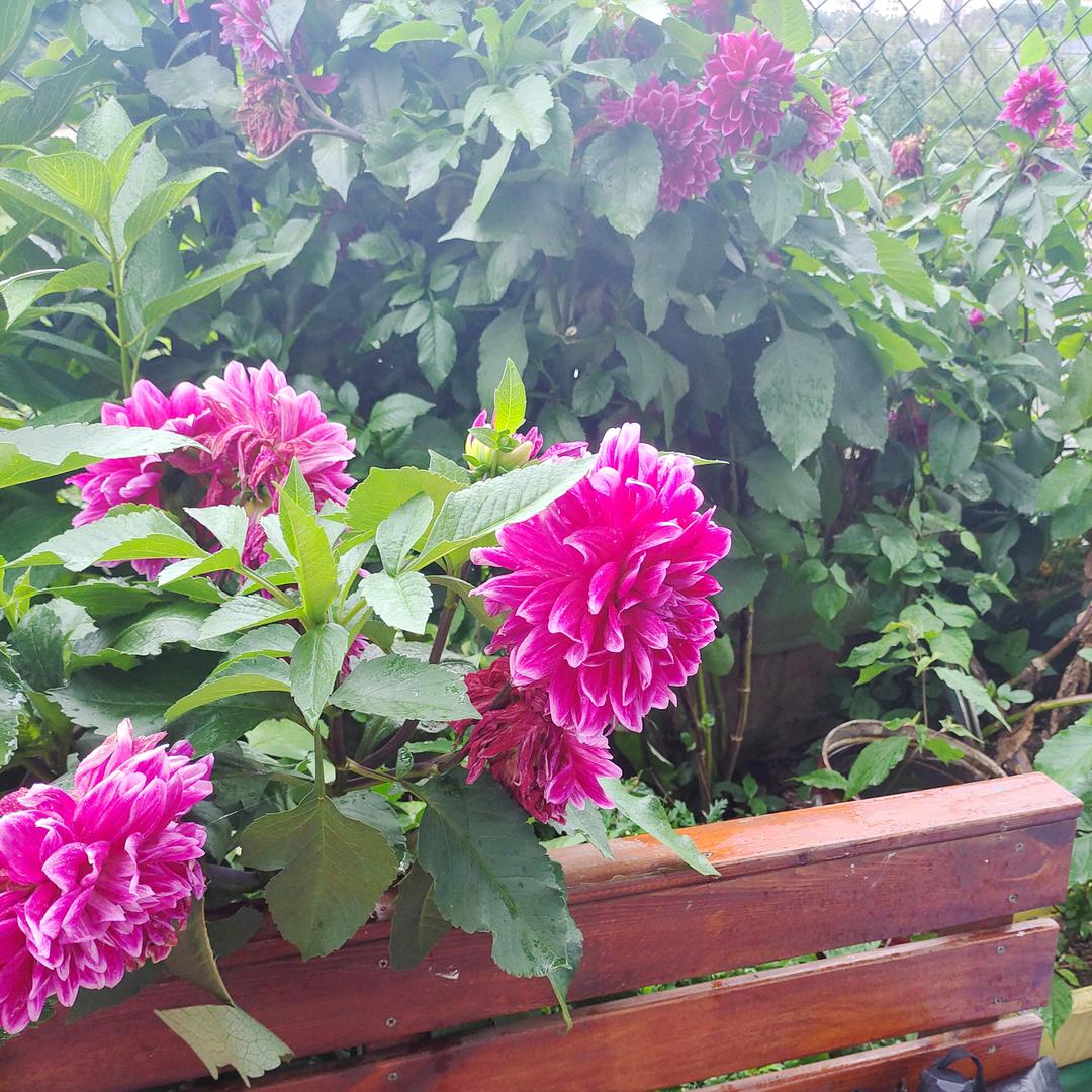 贵州观山湖特产店