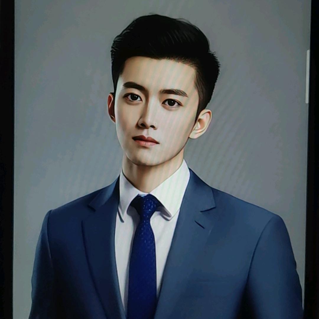 维也纳11