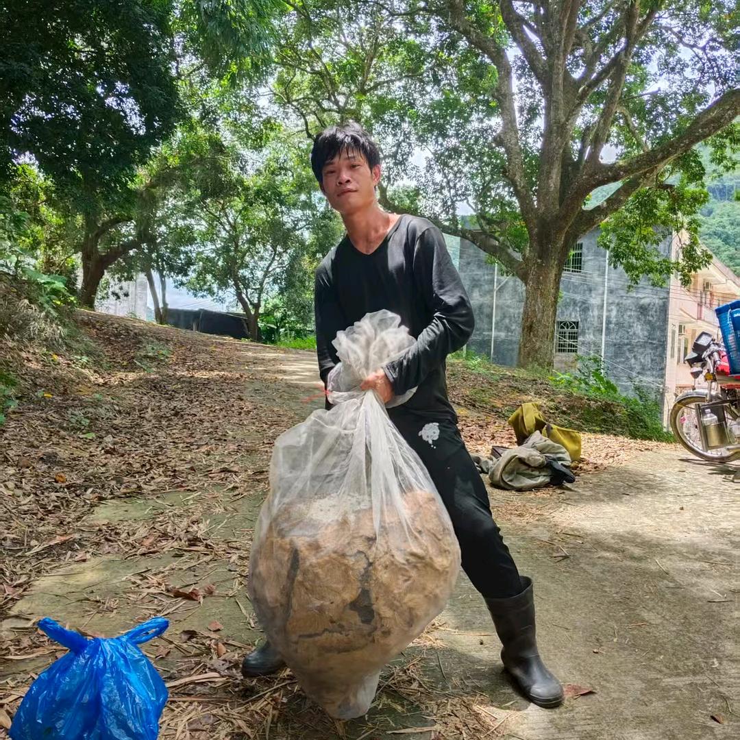 专打马蜂窝山仔