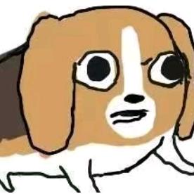 小张日记