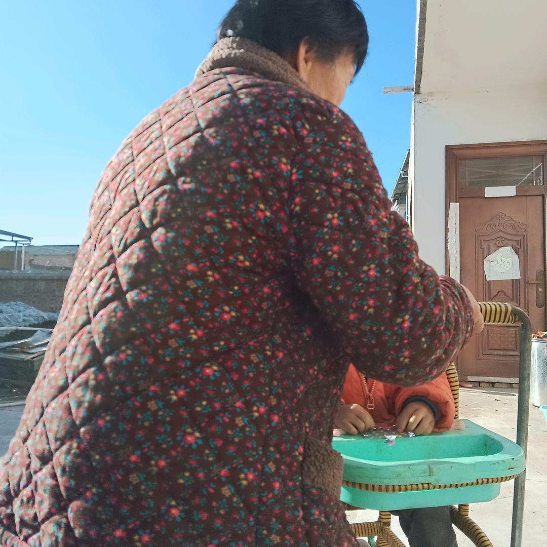 马雪停