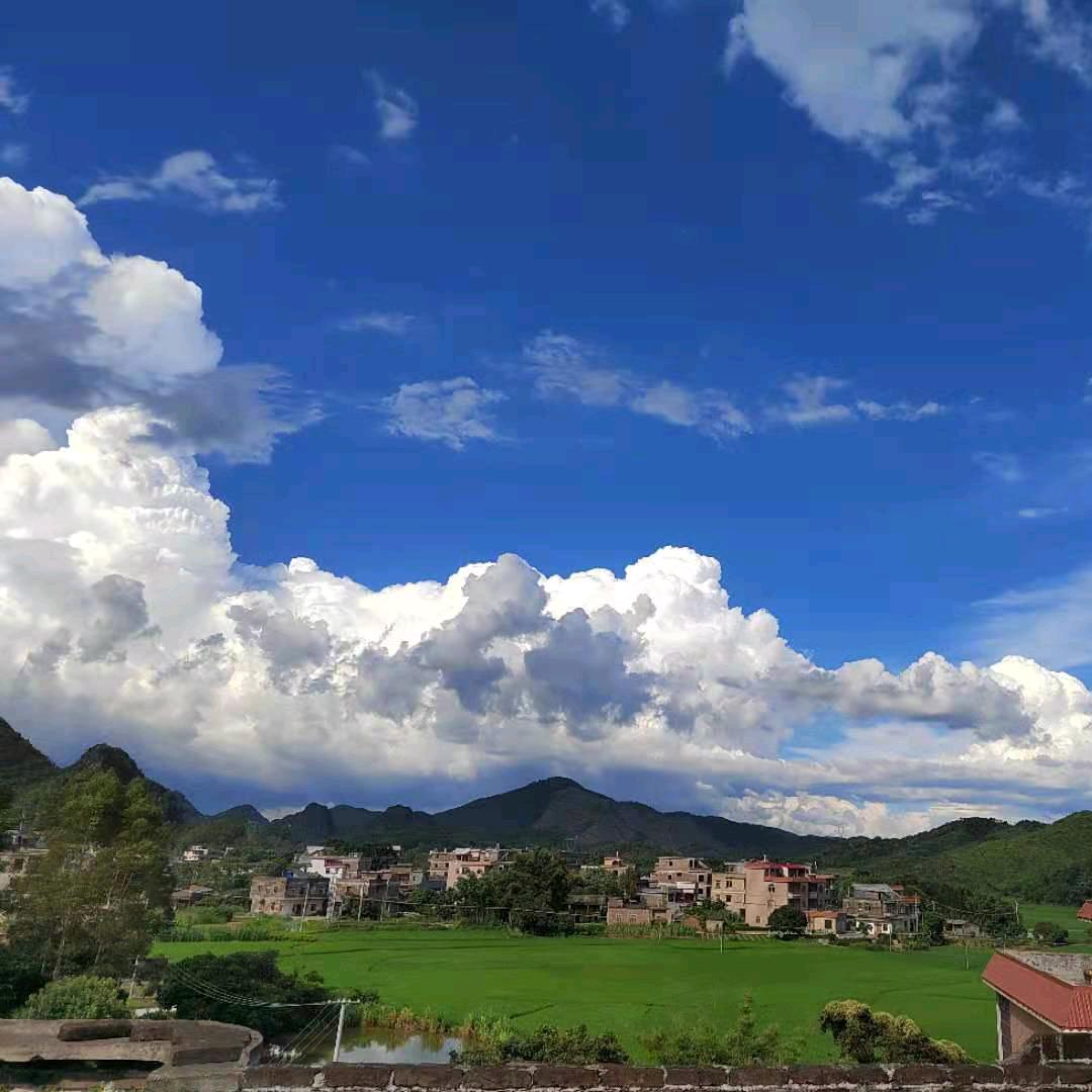 雁过留声