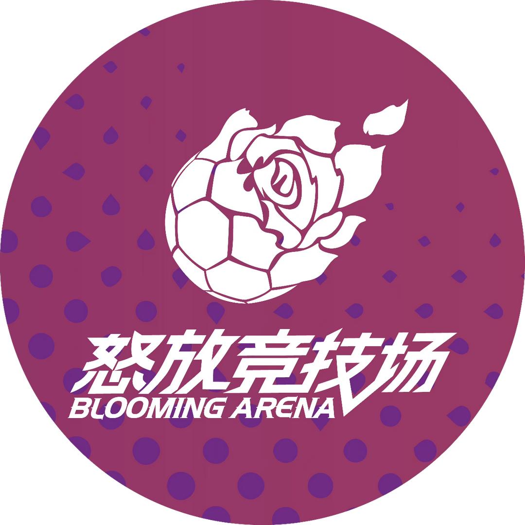 怒放竞技场