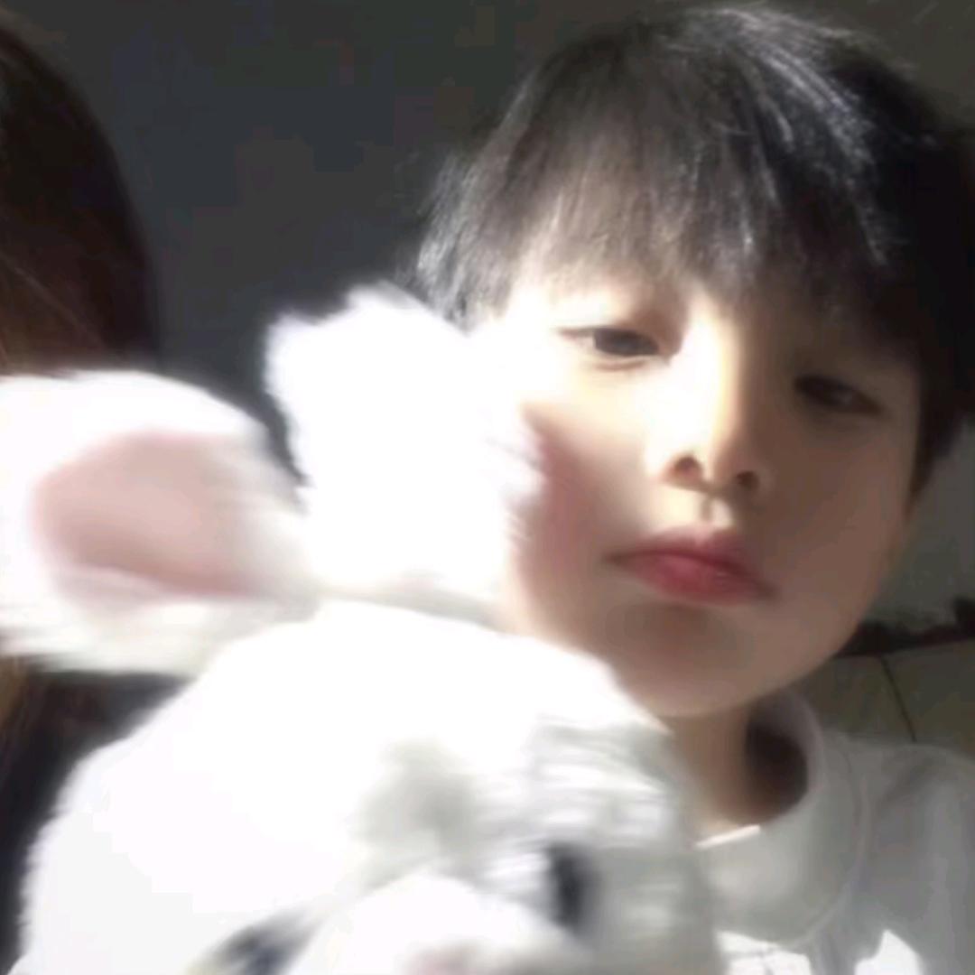 Thirteen.