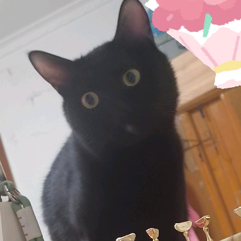 玥馨