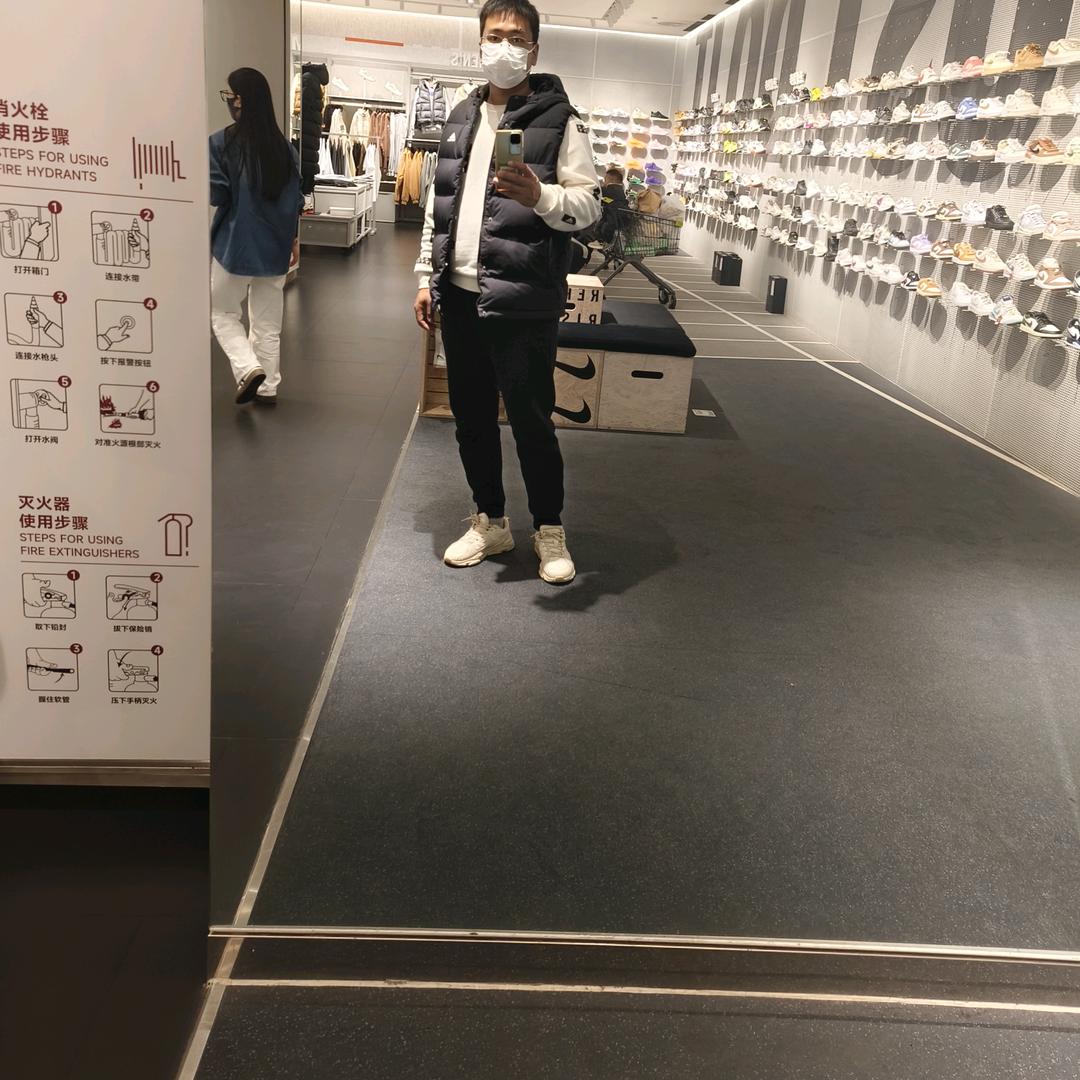 摇摆的路易十三