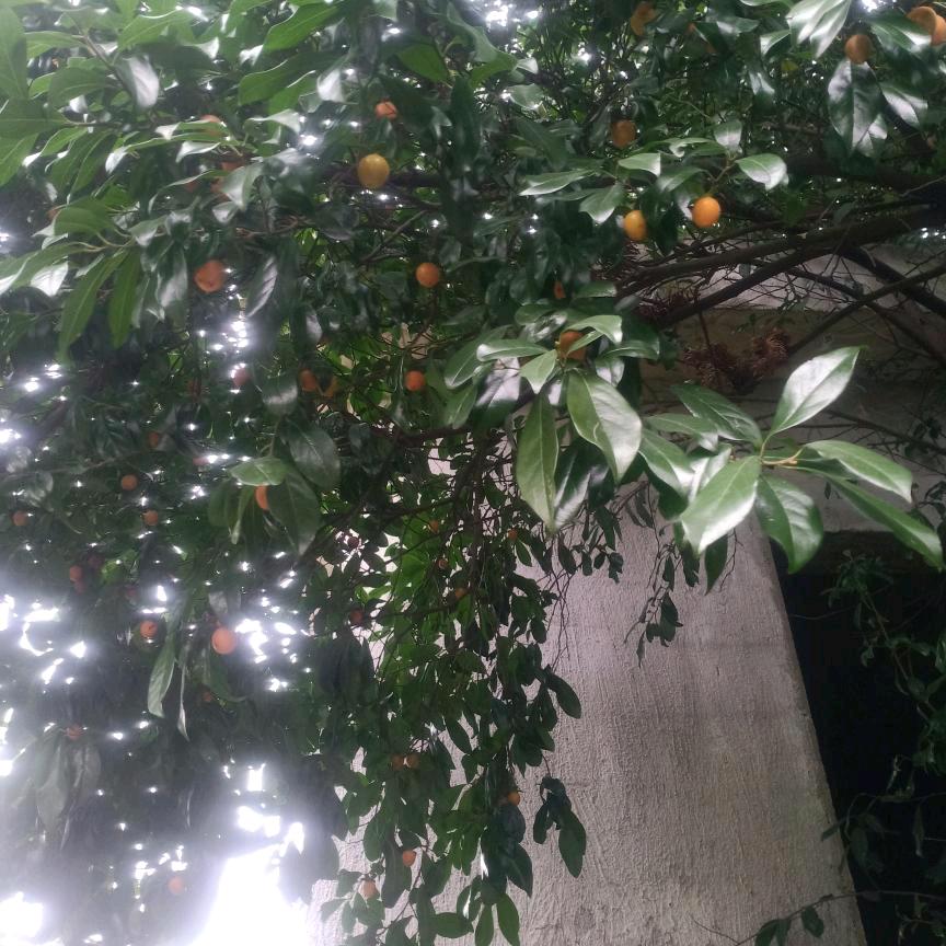 守护真愛