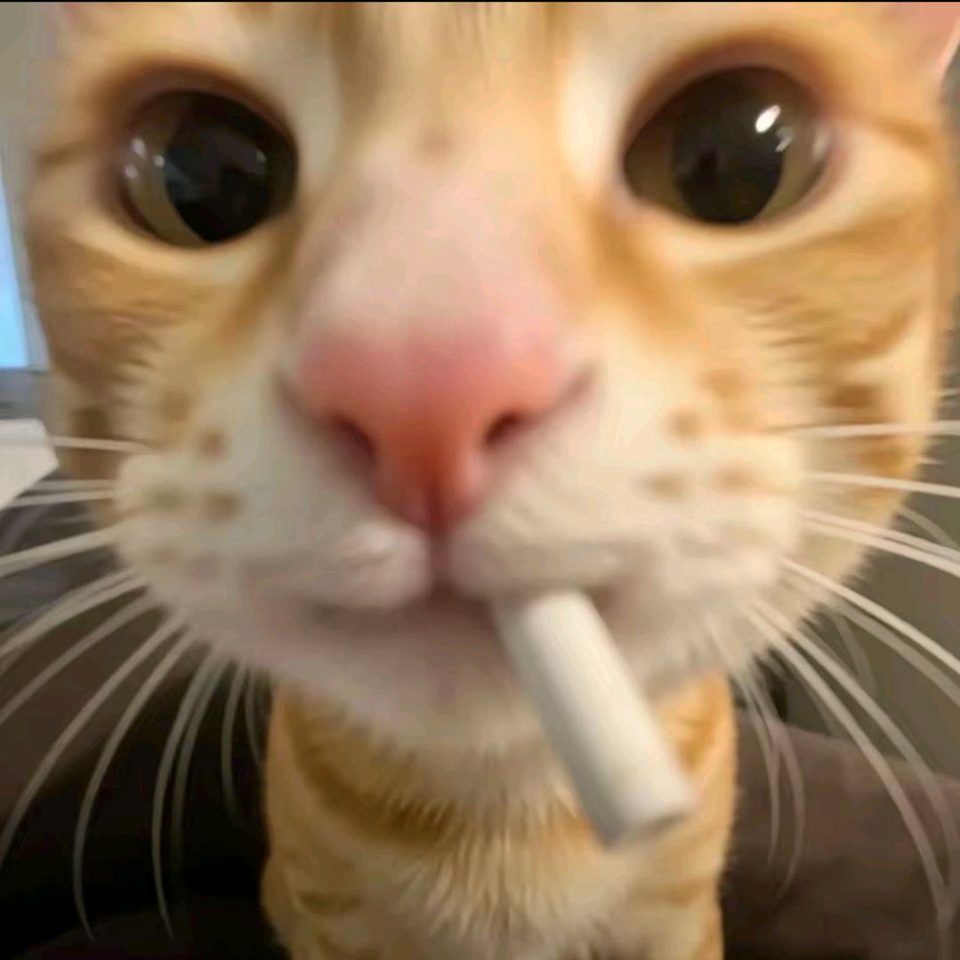 晨曦.
