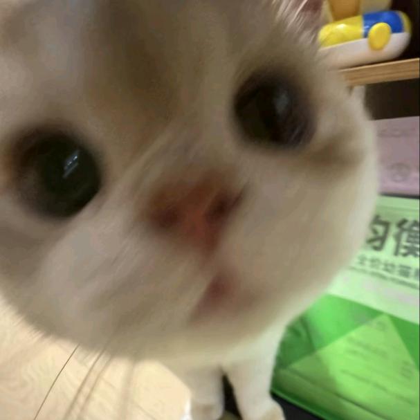 你在说什么呀
