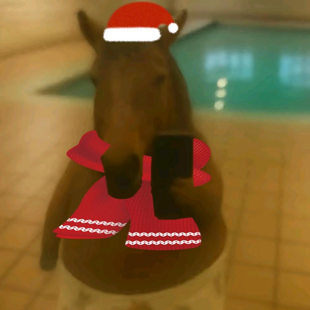 广东省散打冠军