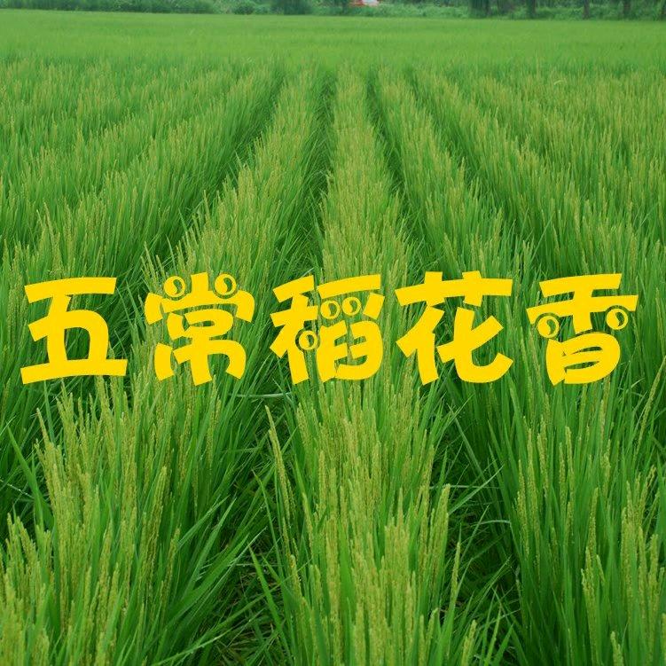 五常尚彤大米