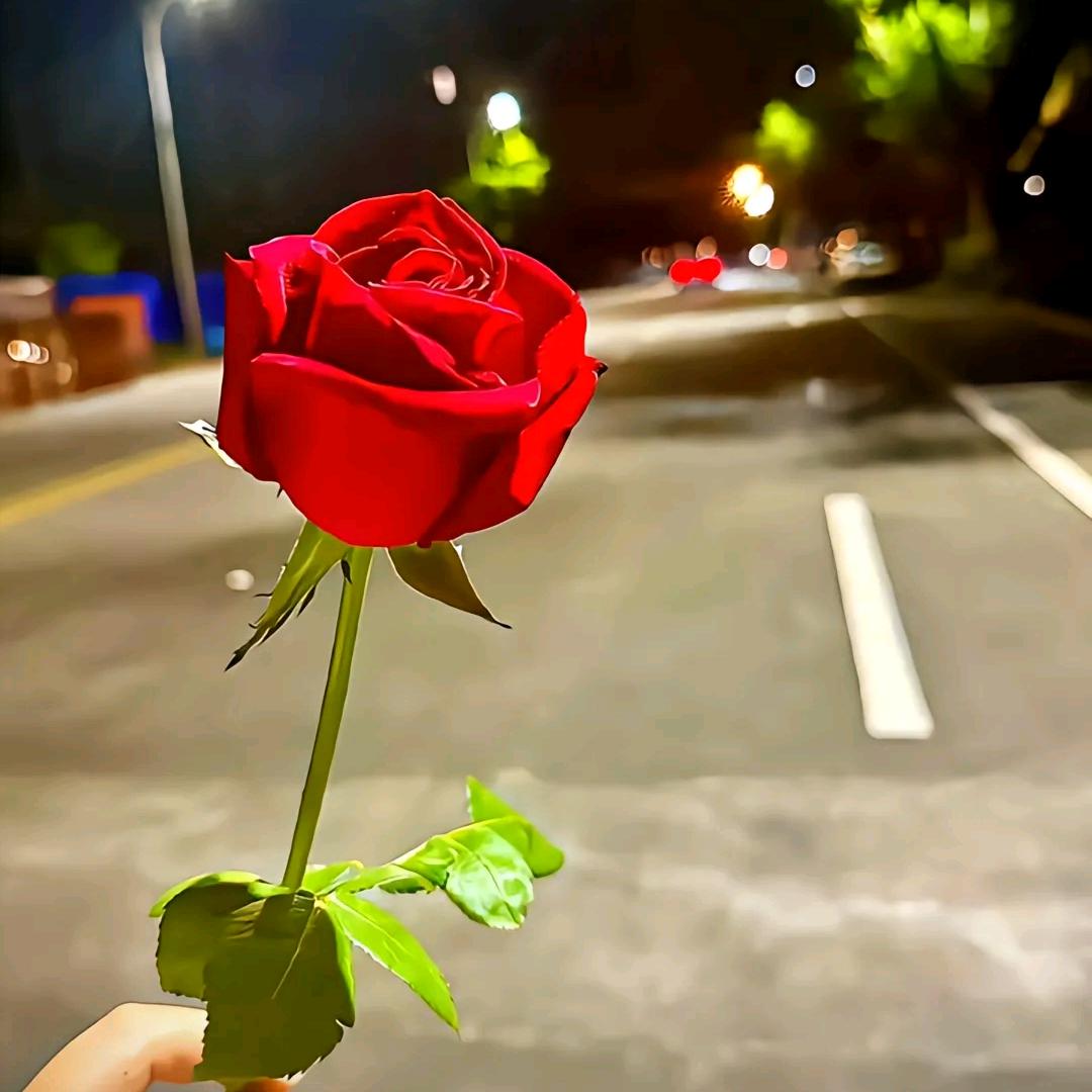 晓薇
