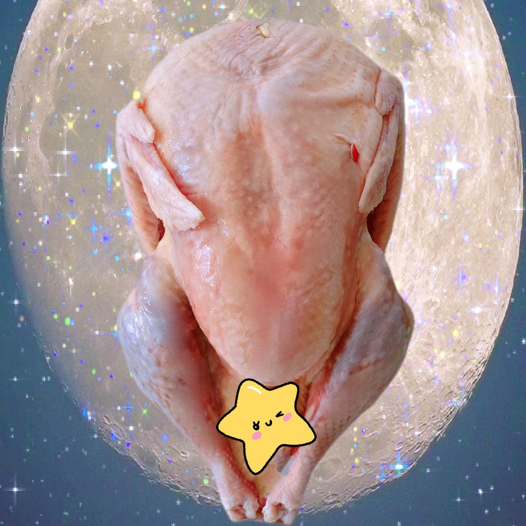 七姨家的火鸡