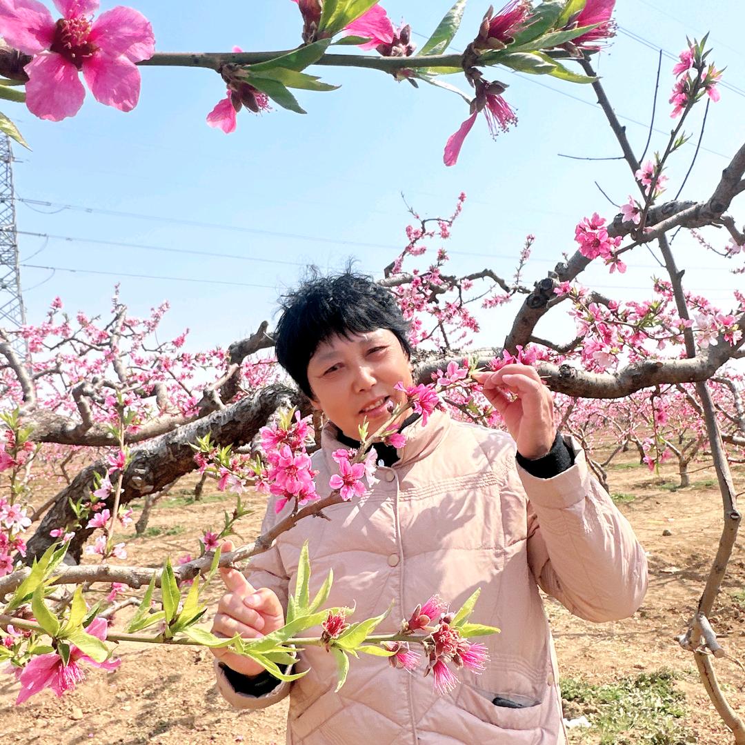 2019香