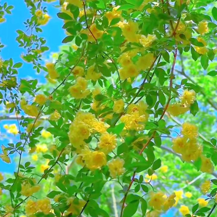 一路向北