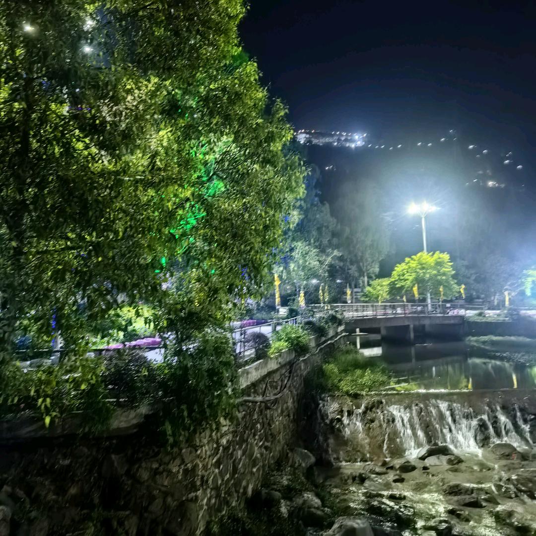 葉