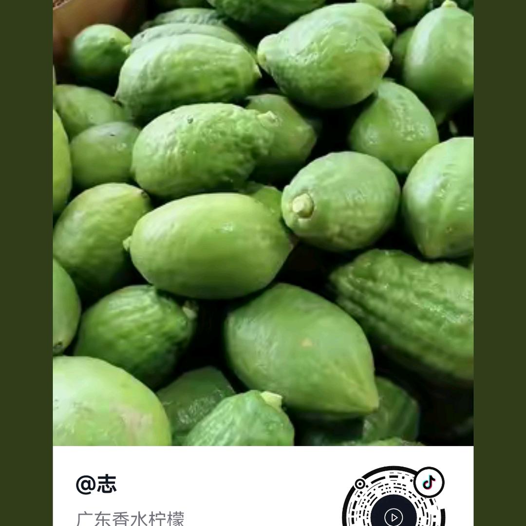 装修公司广东韶关