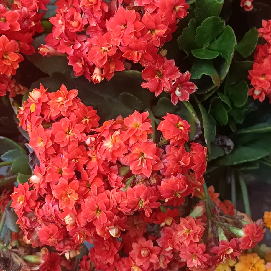 山清水秀😌