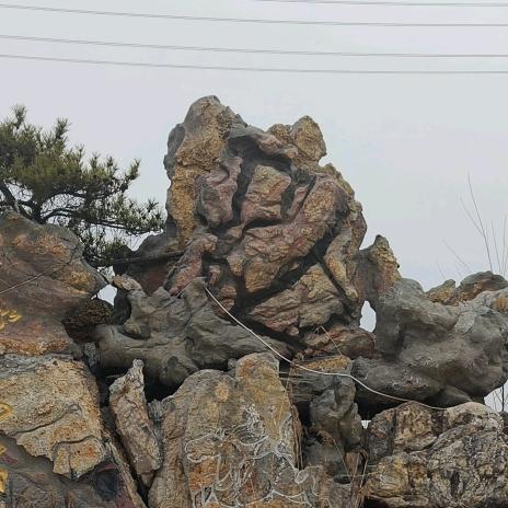 玉玊2/23，🎁🎁🎁