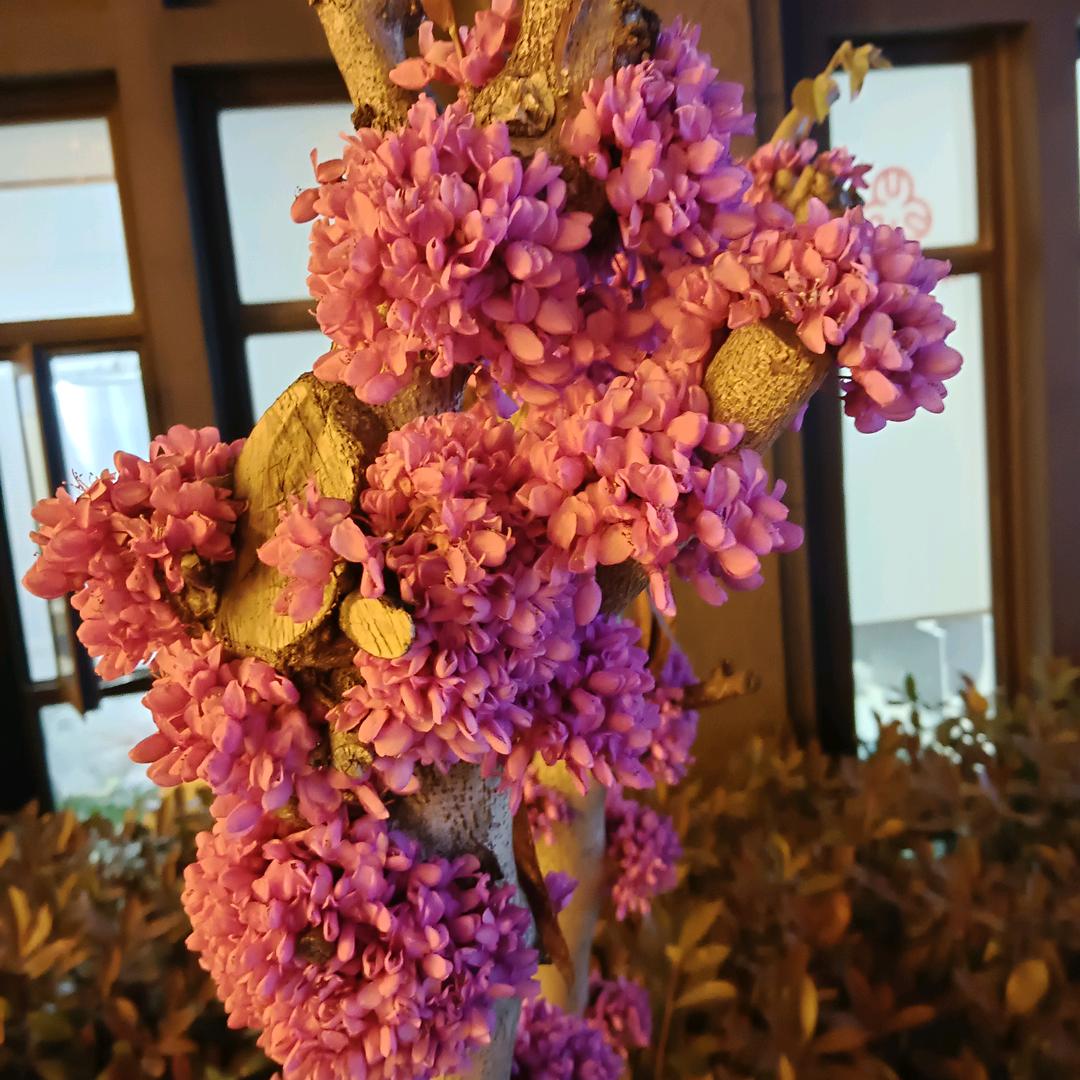 不求大富大贵，只求平安健康。