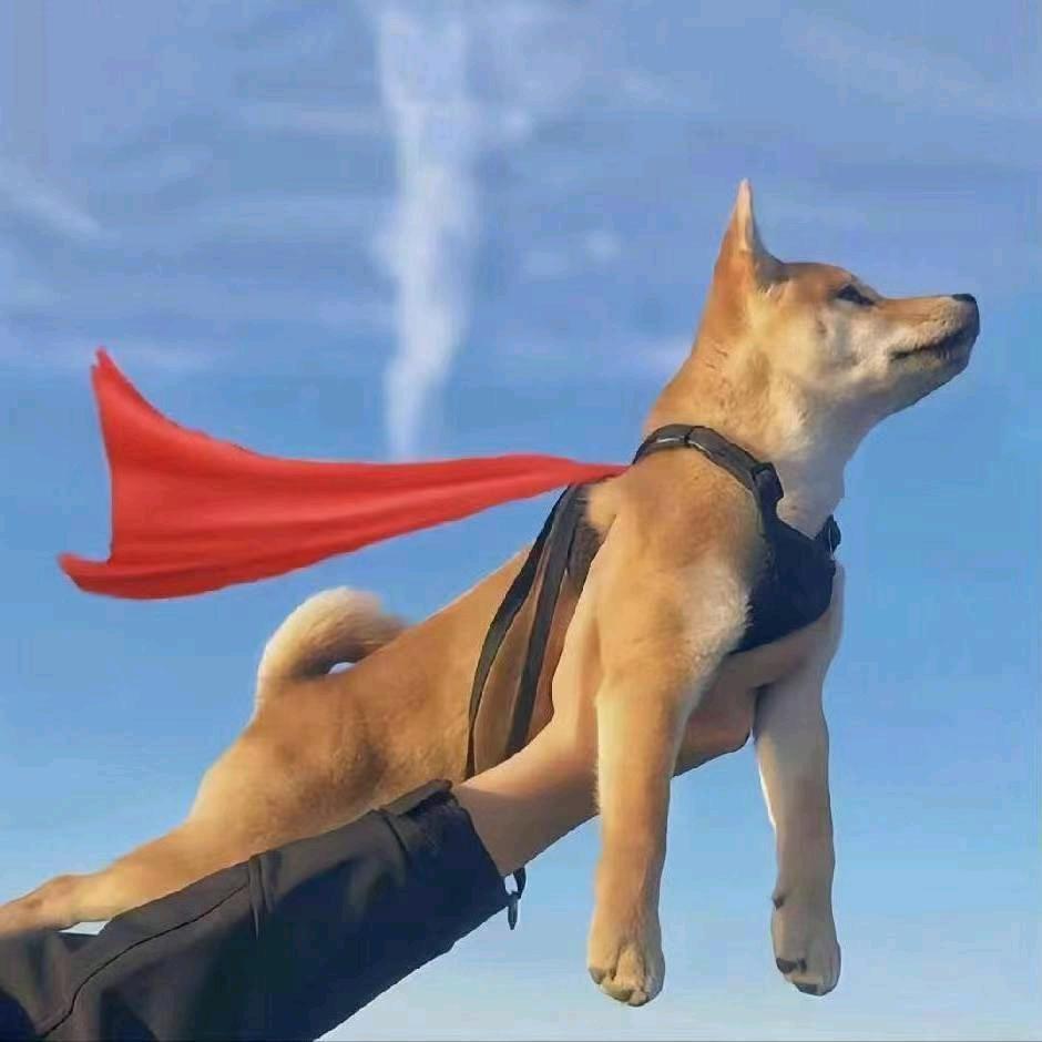 流年笑掷未来可期-