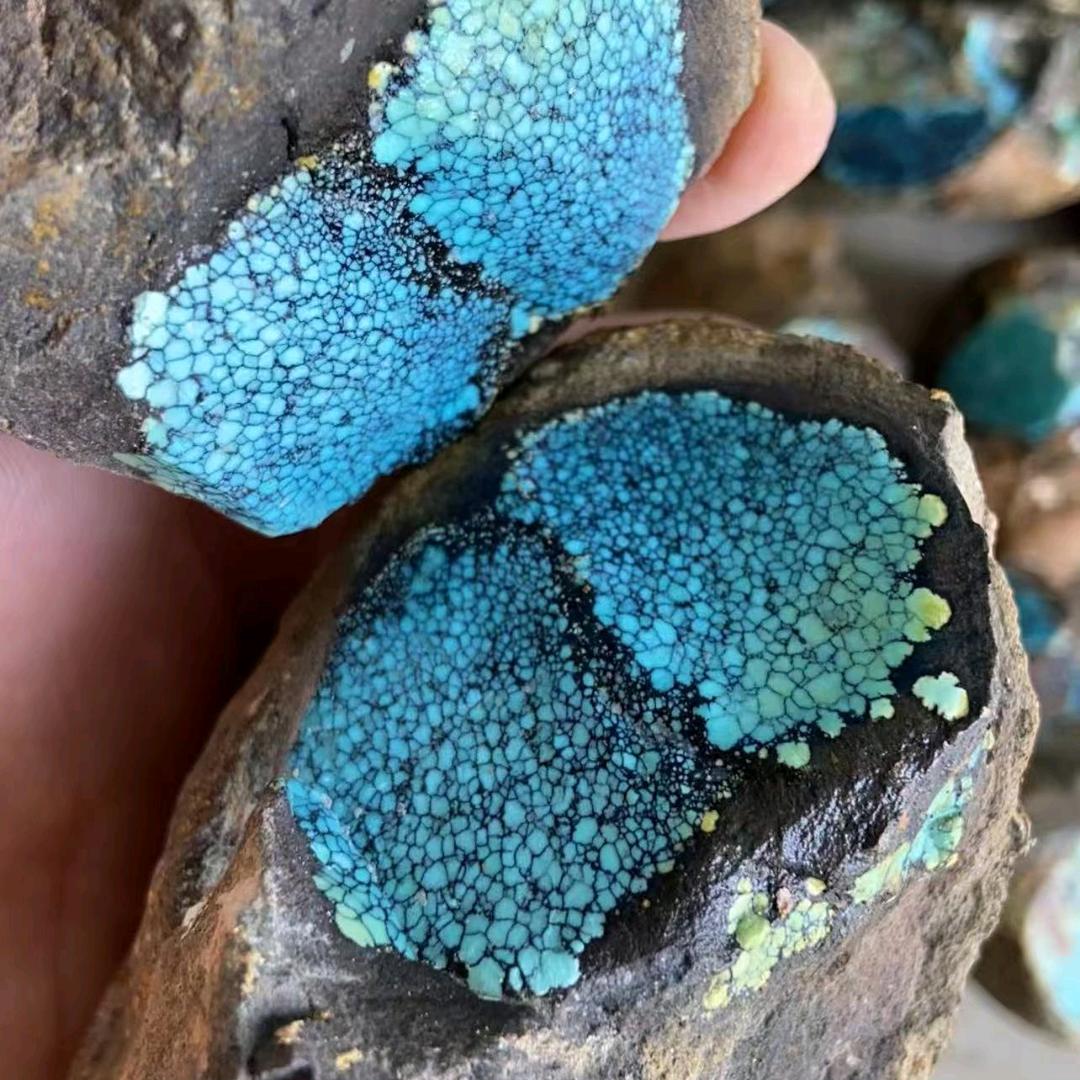 (●—●)隔壁老王(●—●)