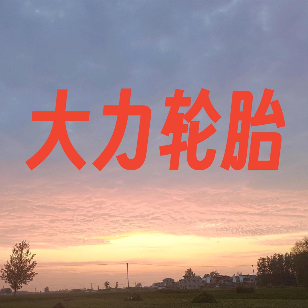 大力轮胎批发闪送