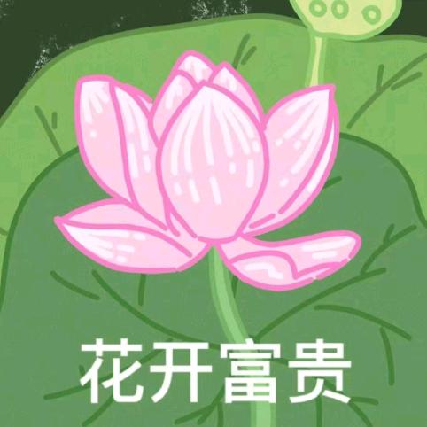 ✨好运连连梦✨