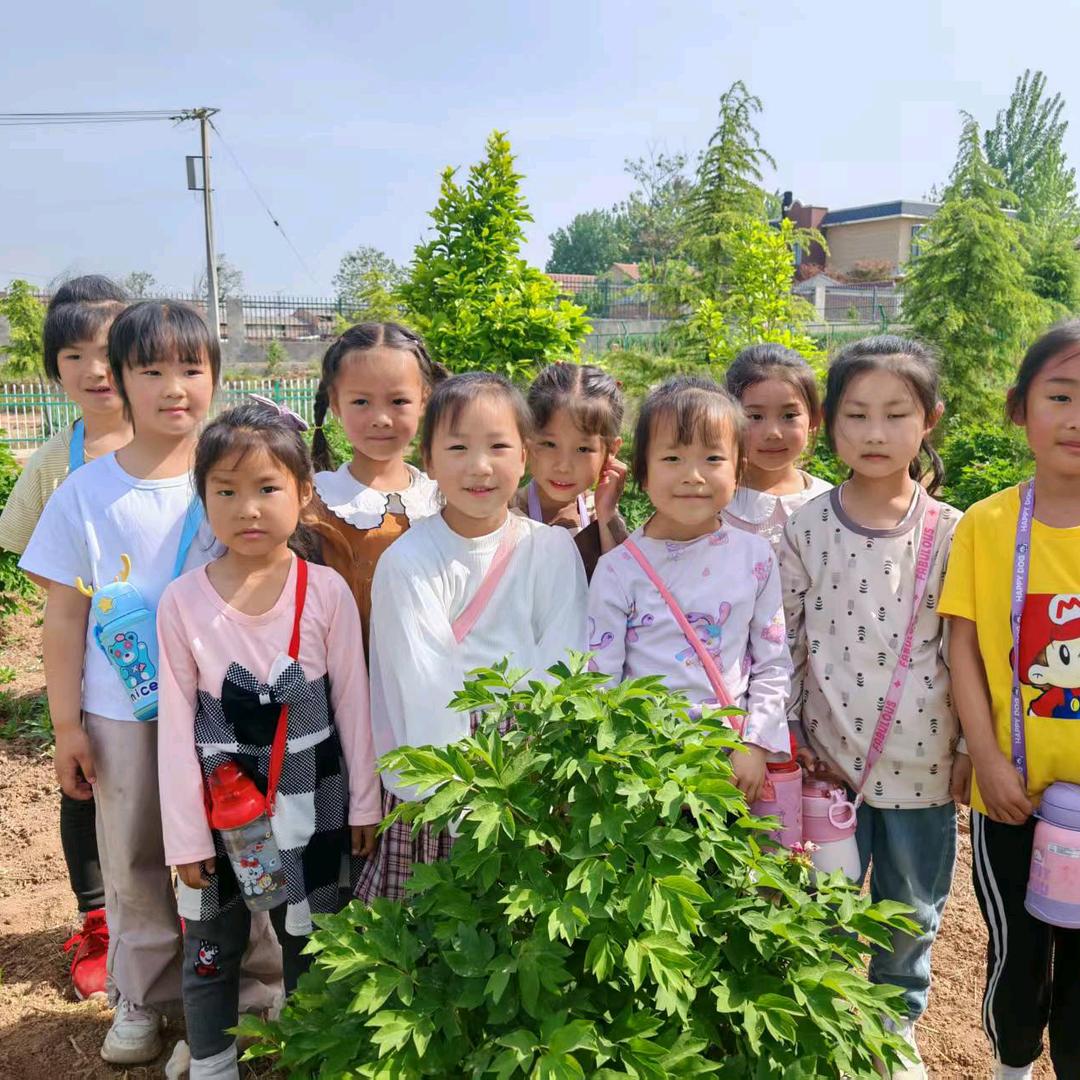 童谣童梦宝贝