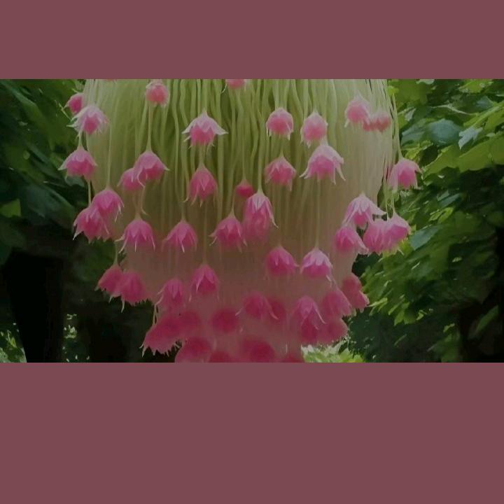 感悟