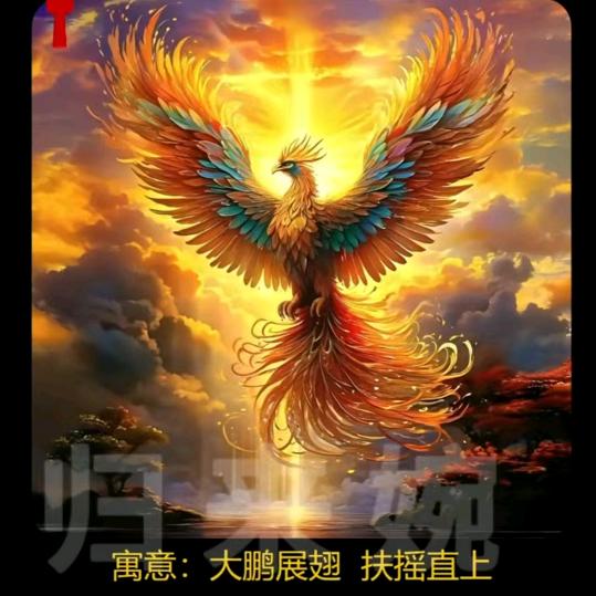 千祥云集🐖🐀