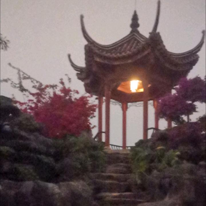 💞楼兰💞
