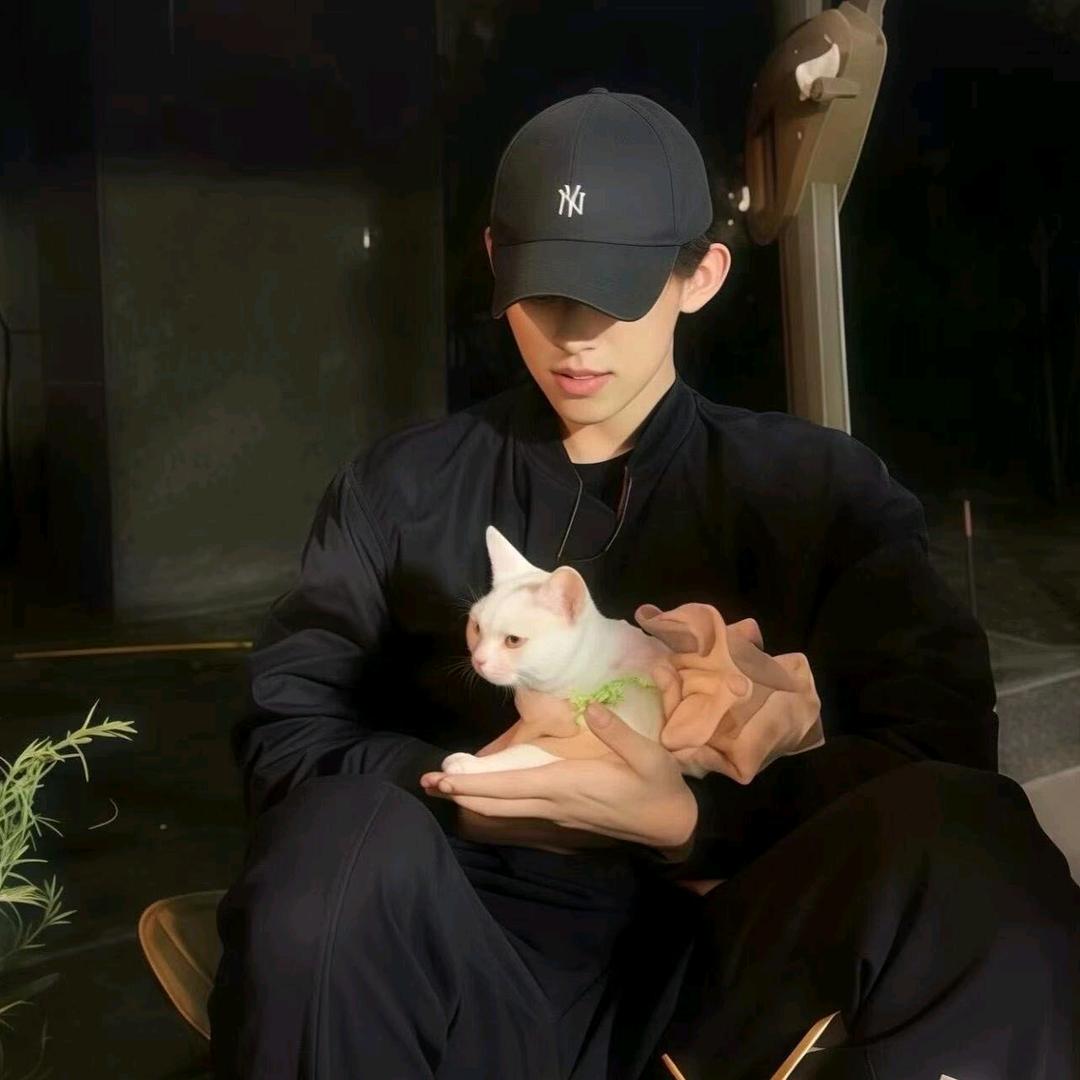 沈岸(三角洲行动)