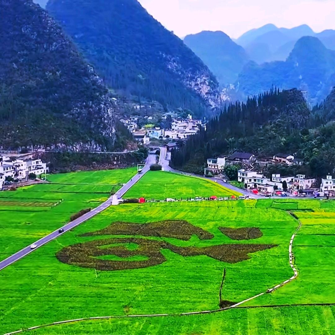 李颖春