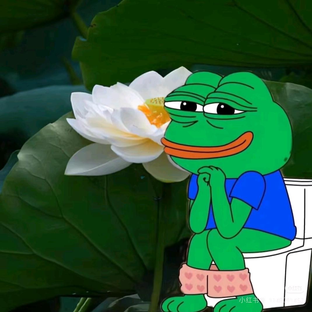 纯情男大为什么有早八(吃香菜考研上岸版)