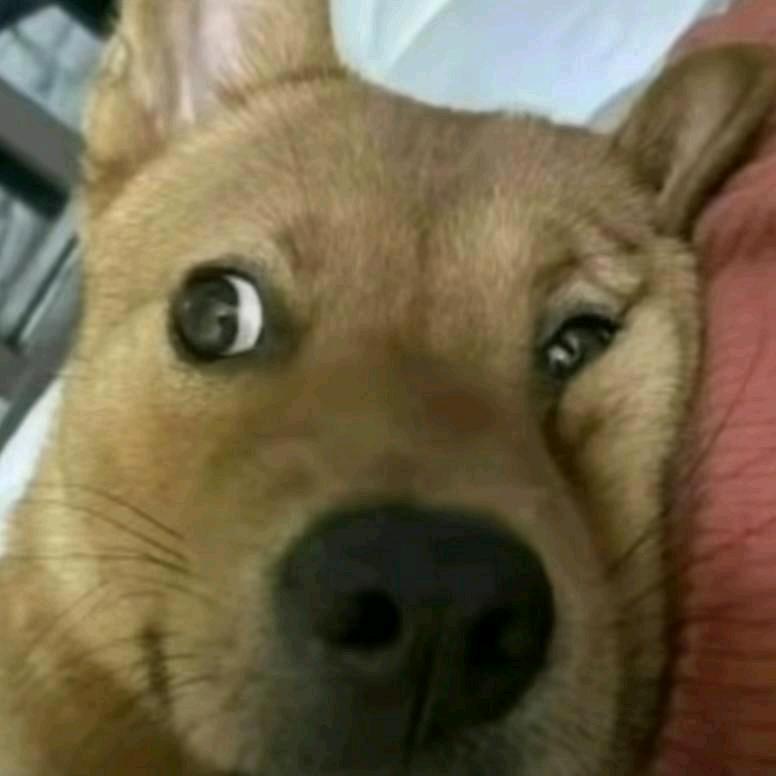 喂。