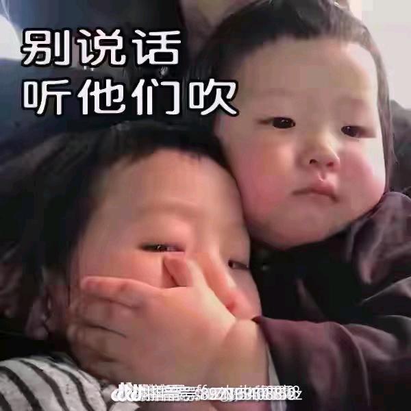 扫一扫三毛